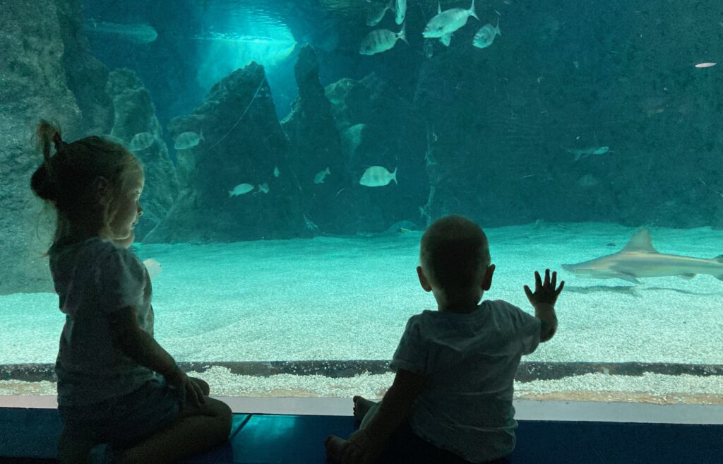 Aquarium Costa Teguise